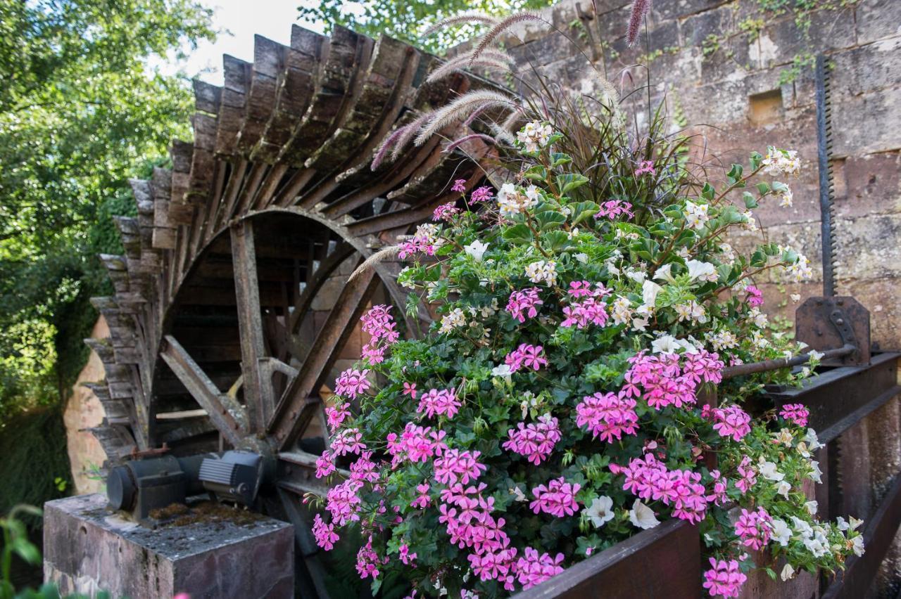 Le Moulin De La Walk Hotel Wissembourg Eksteriør billede